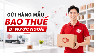 dịch vụ gửi hàng mẫu bao thuế đi nước ngoài