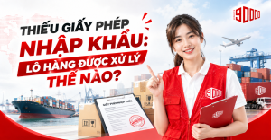 Thiếu giấy phép nhập khẩu: Lô hàng được xử lý thế nào?