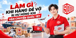 Làm gì khi hàng dễ vỡ bị hư hỏng khi vận chuyển quốc tế?