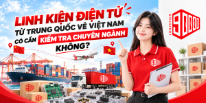 Linh kiện điện tử từ Trung Quốc về Việt Nam có cần kiểm tra chuyên ngành không?
