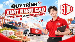 Quy trình xuất khẩu gạo từ Việt Nam sang Philippines