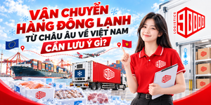 Vận chuyển hàng đông lạnh từ châu Âu về Việt Nam cần lưu ý gì?